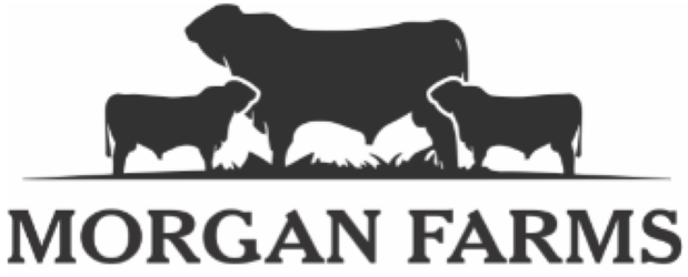 https://ca.mncjobz.com/company/morgan-farms