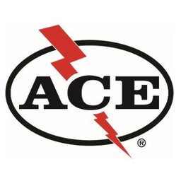 https://ca.mncjobz.com/company/ace-electric