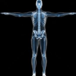 https://ca.mncjobz.com/company/alliston-diagnostic-centre