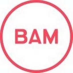 https://ca.mncjobz.com/company/bam-strategy