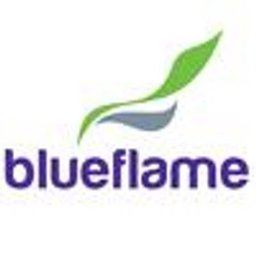 https://ca.mncjobz.com/company/blue-flame