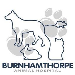 https://ca.mncjobz.com/company/burnhamthorpe-animal-hospital