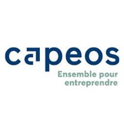 https://ca.mncjobz.com/company/capeos-conseils
