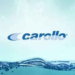 https://ca.mncjobz.com/company/carollo-engineers-inc