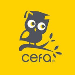 https://ca.mncjobz.com/company/cefa-early-learning