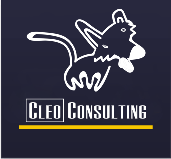 https://ca.mncjobz.com/company/cleo-consulting