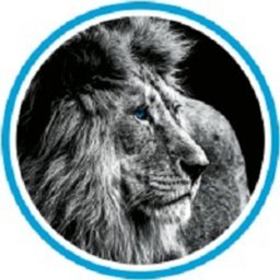 https://ca.mncjobz.com/company/cowan-graphics-inc