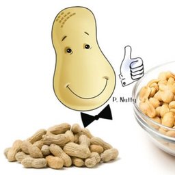 https://ca.mncjobz.com/company/david-roberts-food-corporation