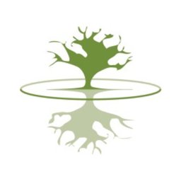 https://ca.mncjobz.com/company/diamond-head-consulting