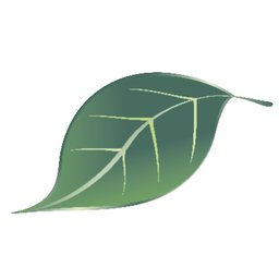 https://ca.mncjobz.com/company/finlandia-pharmacy-and-natural-health-centre
