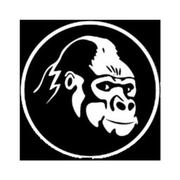 https://ca.mncjobz.com/company/gorilla-transport