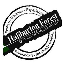 https://ca.mncjobz.com/company/haliburton-forest-and-wild-life-reserve-ltd