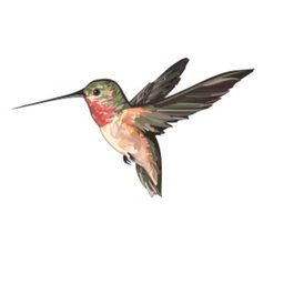 https://ca.mncjobz.com/company/lifespace-gardens