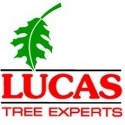 https://ca.mncjobz.com/company/lucas-tree-expert-co-inc