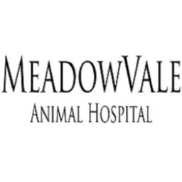 https://ca.mncjobz.com/company/meadowvale-animal-hospital