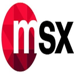 https://ca.mncjobz.com/company/msx-international
