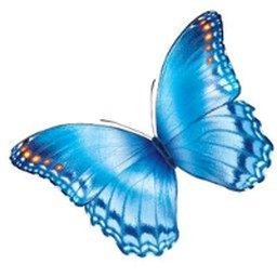 https://ca.mncjobz.com/company/nationwide-childrens-hospital