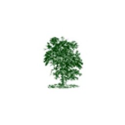 https://ca.mncjobz.com/company/northwood-mortgage