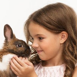 https://ca.mncjobz.com/company/pawsitively-pets