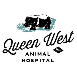 https://ca.mncjobz.com/company/queen-west-animal-hospital