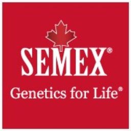 https://ca.mncjobz.com/company/semex