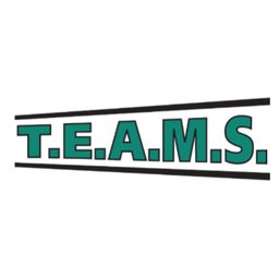 https://ca.mncjobz.com/company/teams-transport