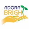 https://ca.mncjobz.com/company/adora-bright-pediatric-therapy-services