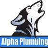 https://ca.mncjobz.com/company/alpha-plumbing-ltd