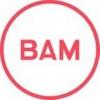 https://ca.mncjobz.com/company/bam-strategy