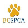 https://ca.mncjobz.com/company/bc-spca