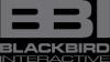 https://ca.mncjobz.com/company/blackbird-interactive