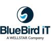 https://ca.mncjobz.com/company/bluebird-it-solutions-inc