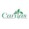 https://ca.mncjobz.com/company/caritas-school-of-life