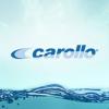 https://ca.mncjobz.com/company/carollo-engineers-inc