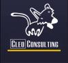https://ca.mncjobz.com/company/cleo-consulting