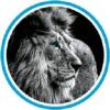 https://ca.mncjobz.com/company/cowan-graphics-inc