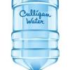 https://ca.mncjobz.com/company/culligan