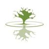 https://ca.mncjobz.com/company/diamond-head-consulting