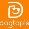 https://ca.mncjobz.com/company/dogtopia