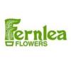 https://ca.mncjobz.com/company/fernlea-flowers