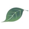 https://ca.mncjobz.com/company/finlandia-pharmacy-and-natural-health-centre