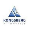 https://ca.mncjobz.com/company/kongsberg-automotive