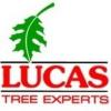 https://ca.mncjobz.com/company/lucas-tree-expert-co-inc