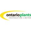 https://ca.mncjobz.com/company/ontario-plants-propagation-limited