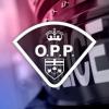 https://ca.mncjobz.com/company/ontario-provincial-police