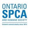 https://ca.mncjobz.com/company/ontario-spca-and-humane-society