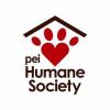 https://ca.mncjobz.com/company/pei-humane-society