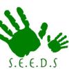 https://ca.mncjobz.com/company/seeds-childcare