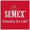 https://ca.mncjobz.com/company/semex