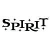 https://ca.mncjobz.com/company/spirit-halloween